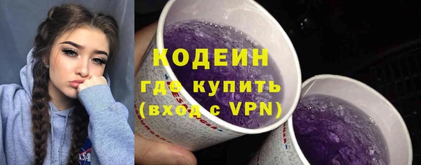 индика Кулебаки