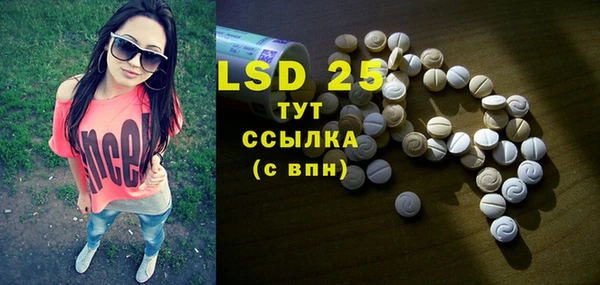 индика Кулебаки
