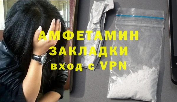 индика Кулебаки