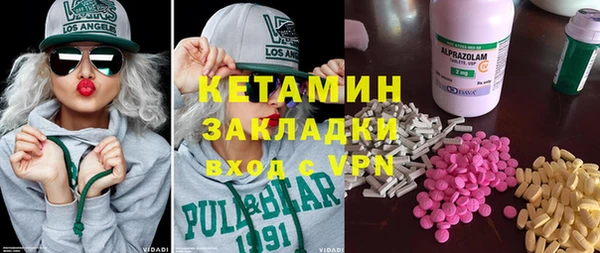 индика Кулебаки