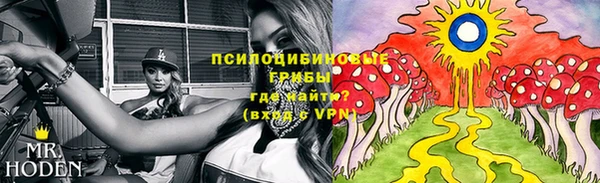 индика Кулебаки