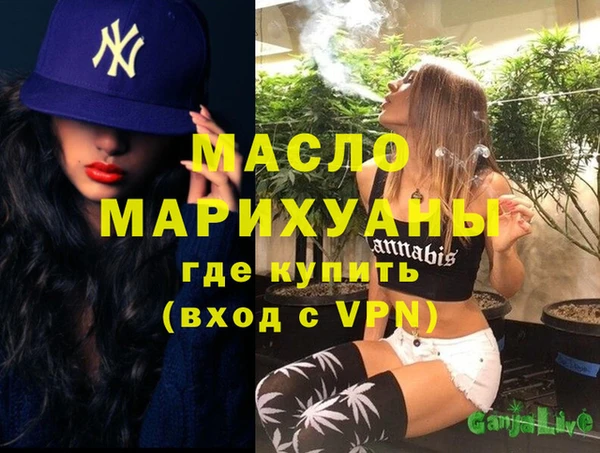 индика Кулебаки