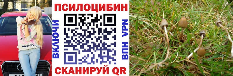 МЕГА ТОР  Осташков  Галлюциногенные грибы MAGIC MUSHROOMS 